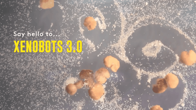 全球首個(gè)可(kě)自我繁殖活體機器人(rén)問世！